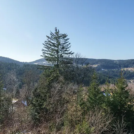 Le Du Xette - Sauna Et Vue Montagne * Gérardmer